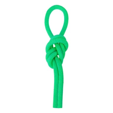 salewa speed queen 9.1 mm rope