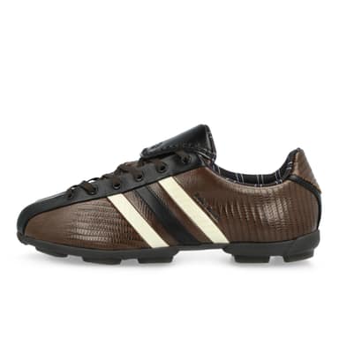 y-3 the field lizzard