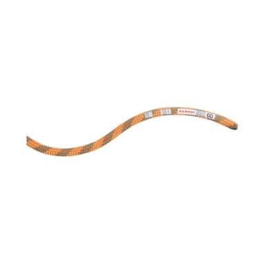 mammut crag dry 9.5 mm rope