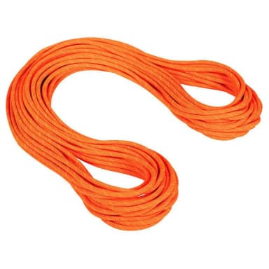 mammut crag dry 9.8 mm rope