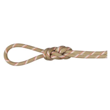 mammut alpine classic 8 mm rope