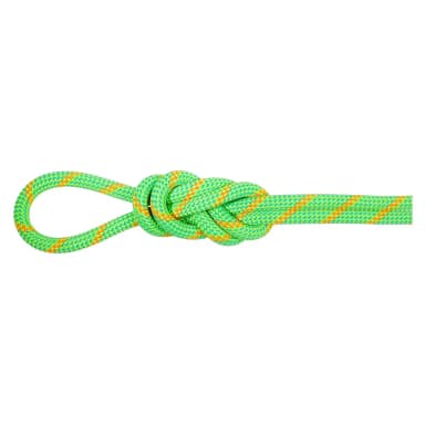 mammut alpine eco dry 8 mm rope