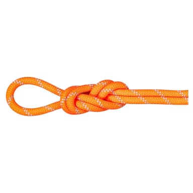 mammut alpine 9.5 mm rope