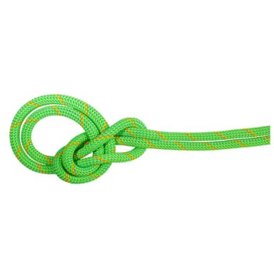 mammut crag eco 9.5 mm rope