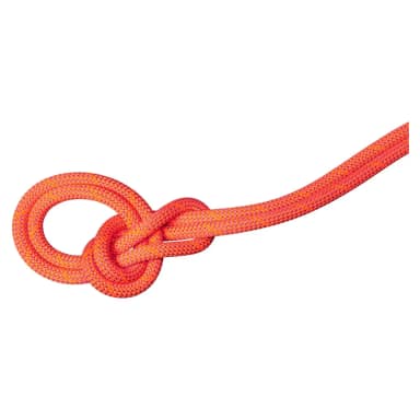 mammut 9.8 mm crag dry 60 m rope