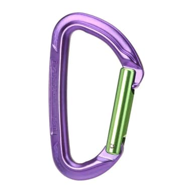 wildcountry session straight gate snap hook