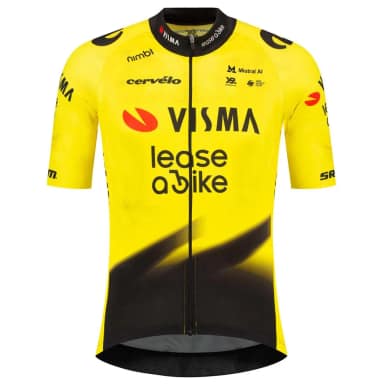 tvl футболка с коротким рукавом team visma lease a bike replica 2026