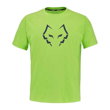 babolat футболка с коротким рукавом cotton lebron