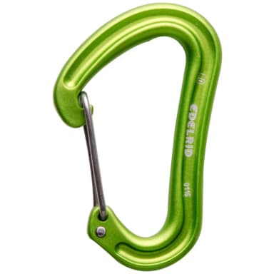 edelrid nineteen g snap hook