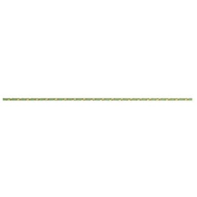 beal 3 mm rope