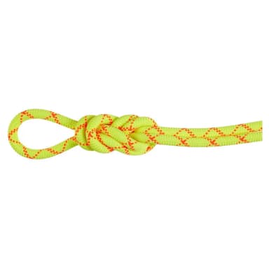 mammut alpine core protect 9.5 mm rope
